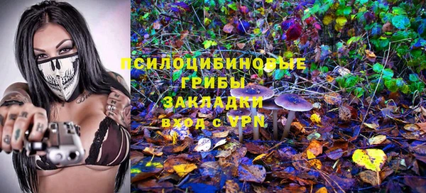 кокс Баксан